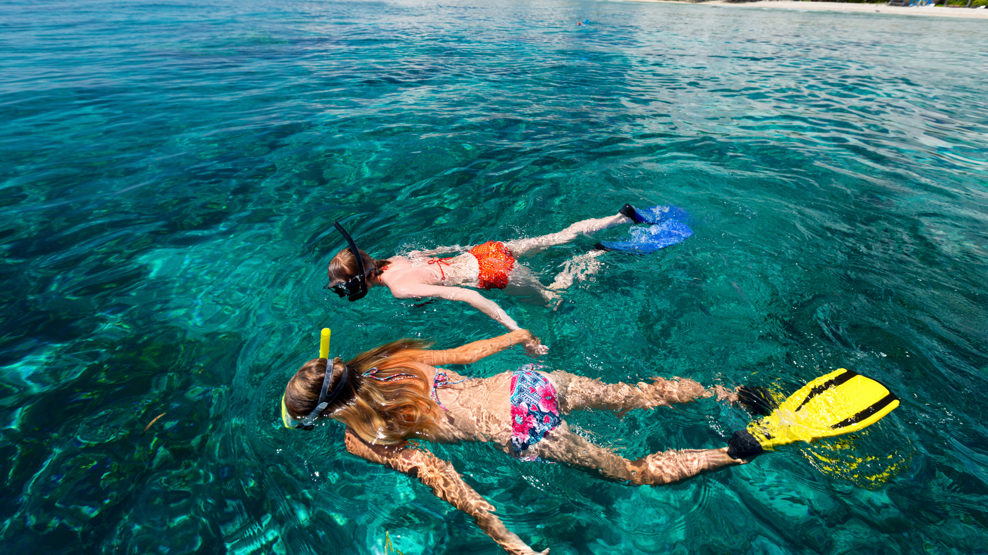 Diving with tube or Snorkeling