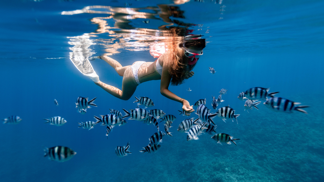 Найкращі місця для підводного плавання на узбережжі Коста-Брава