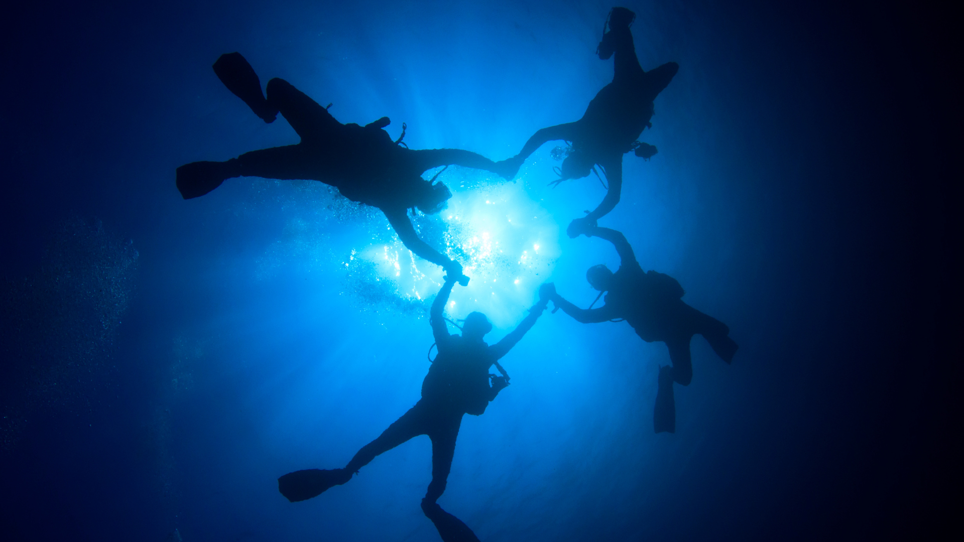 Qu'est-ce que ça fait de plonger dans la mer ?