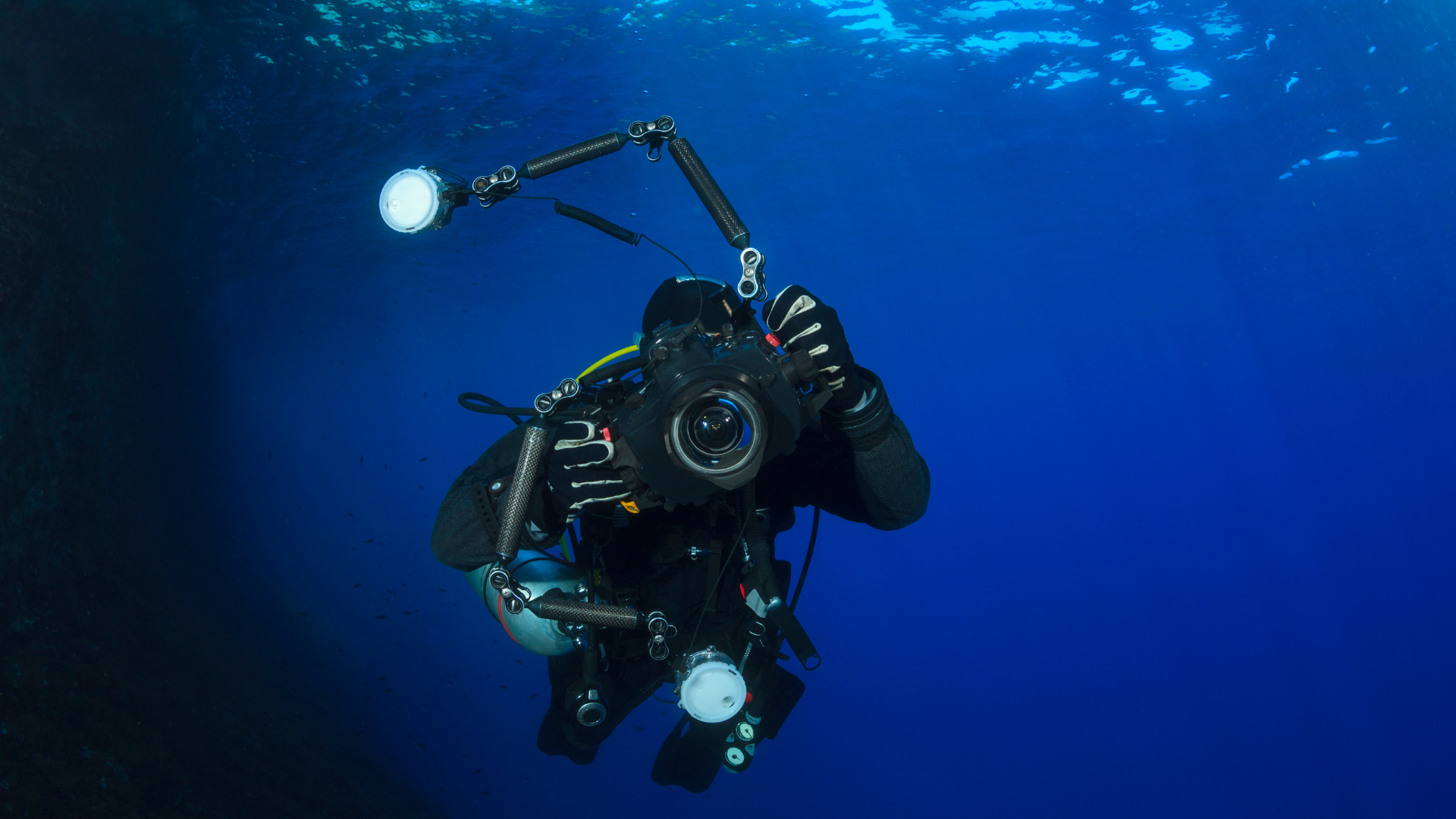 Подводная фотография: 10 причин, которые привлекают дайверов