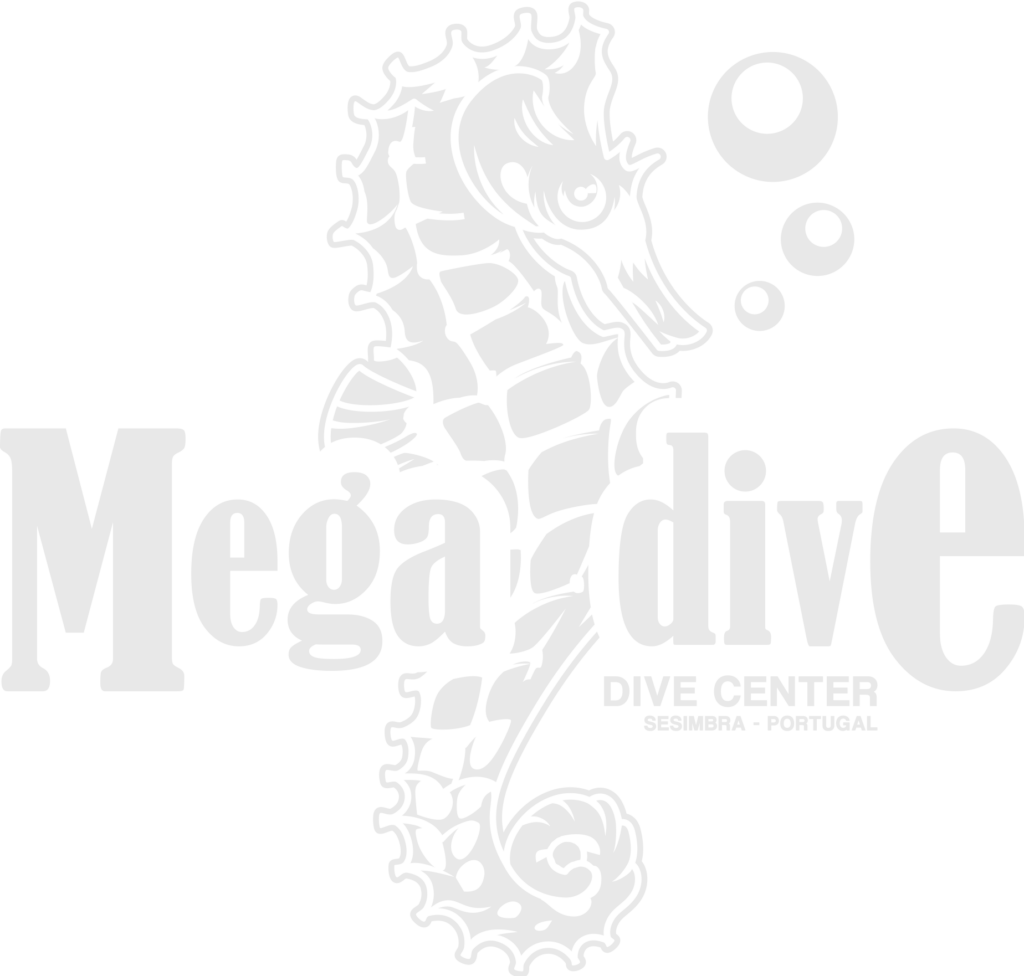 MEGA DIVE