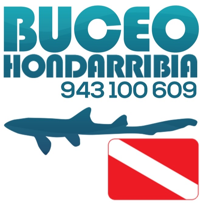 BUCEO HONDARRIBIA