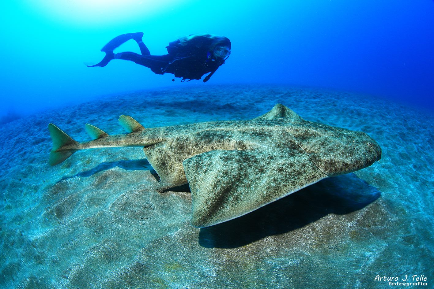 NAUTICO DIVE ACADEMY