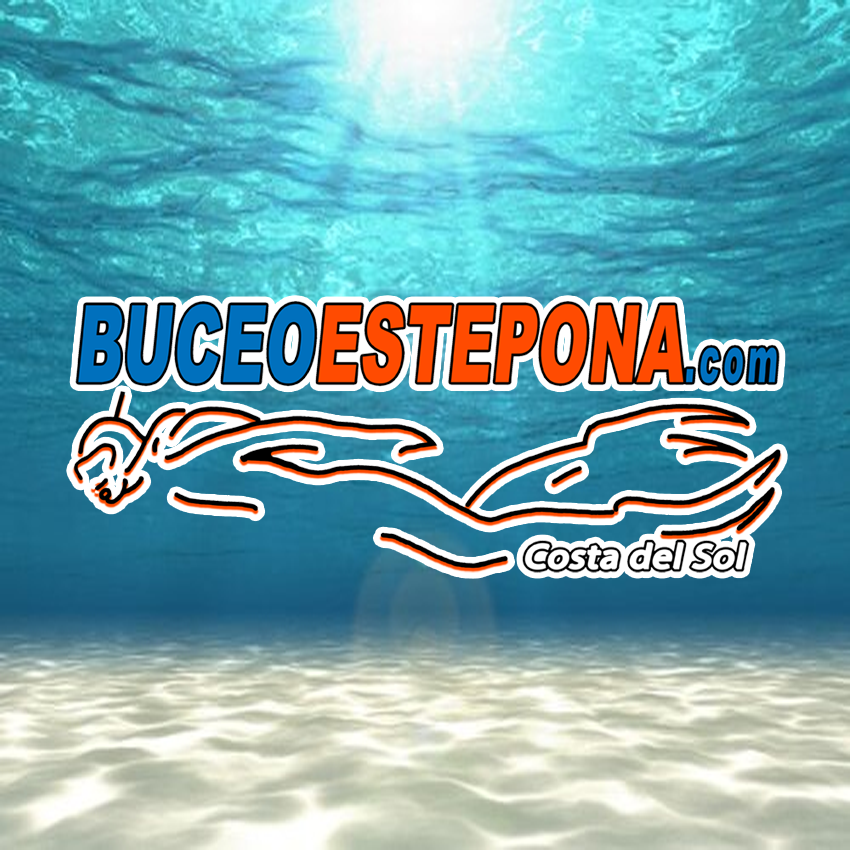 BUCEO ESTEPONA