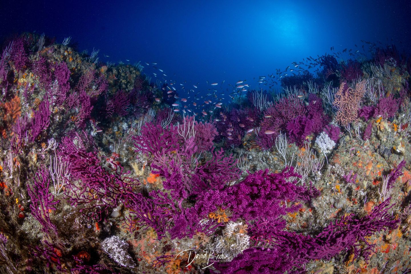BURBUJAS BUCEO CEUTA