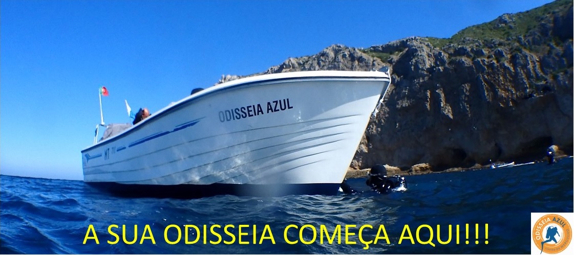 ODISSEIA AZUL