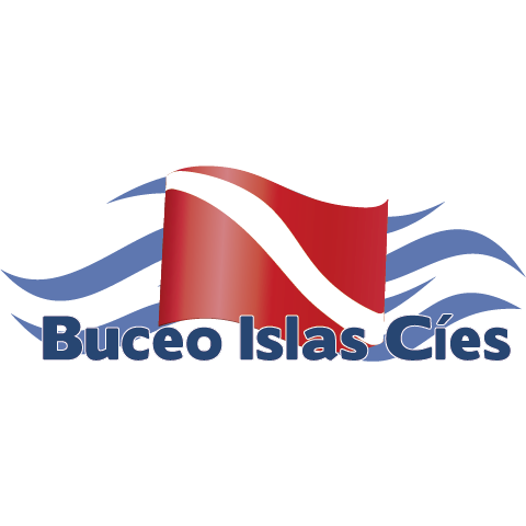 BUCEO ISLAS CIES