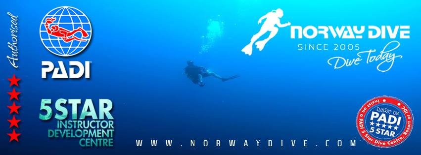 NORWAY DIVE