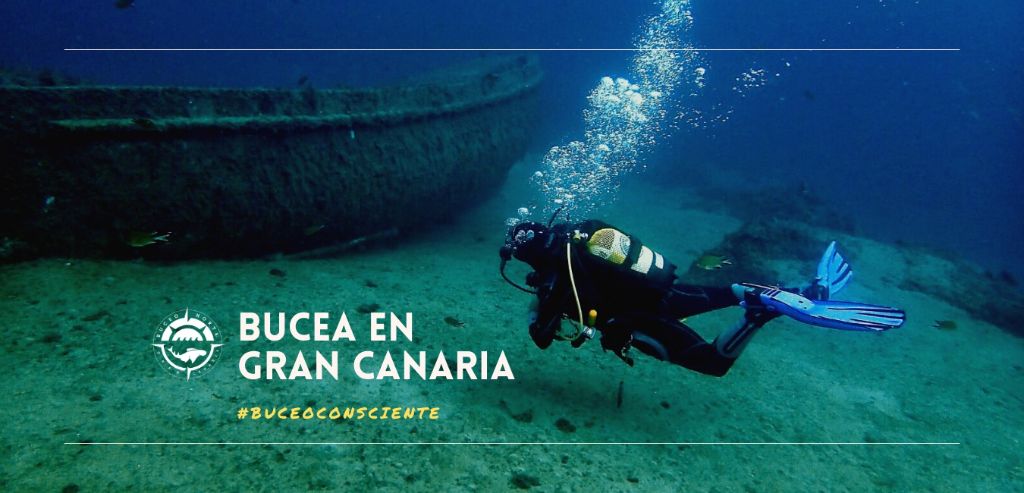 Buceo Norte