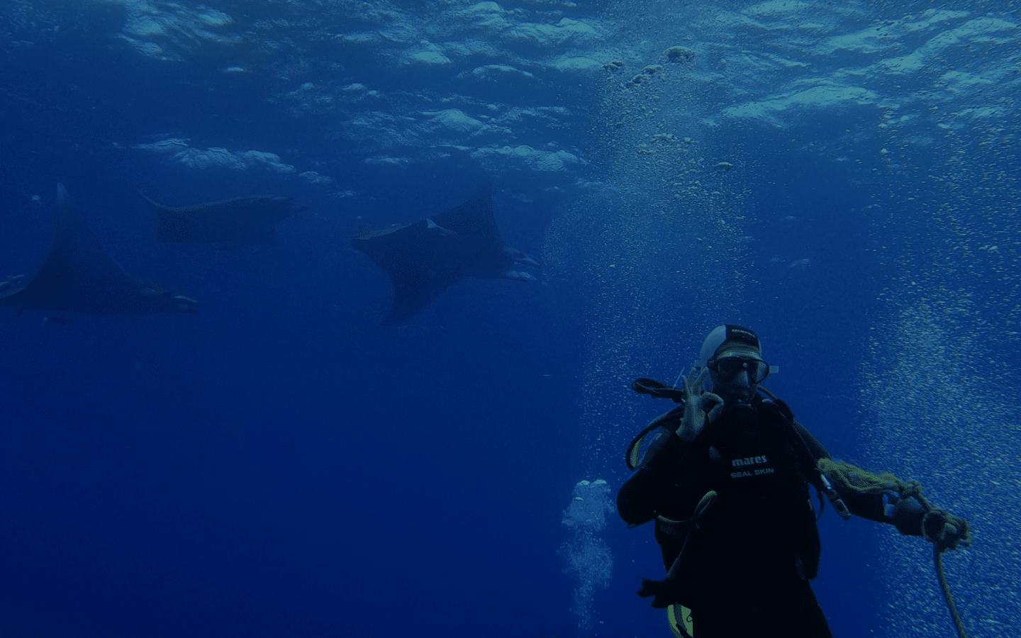 Mantamaria Dive Center