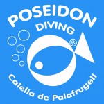 POSEIDON DIVING