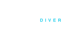 Norberto Diver