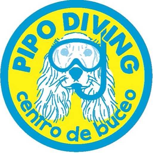 PIPO DIVING