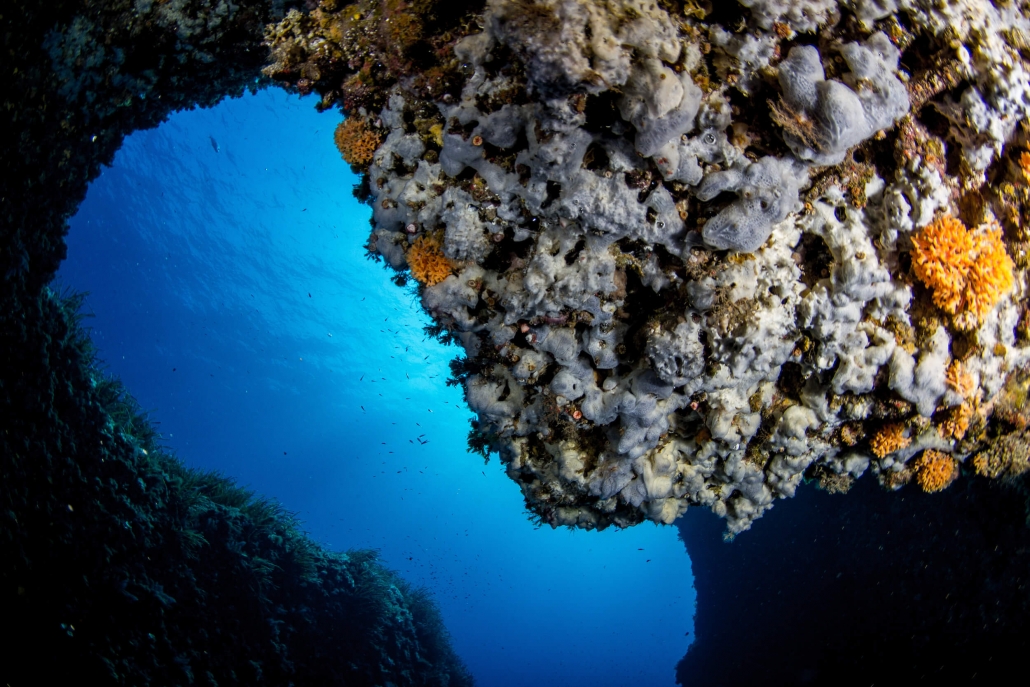 BINIBECA DIVING MENORCA