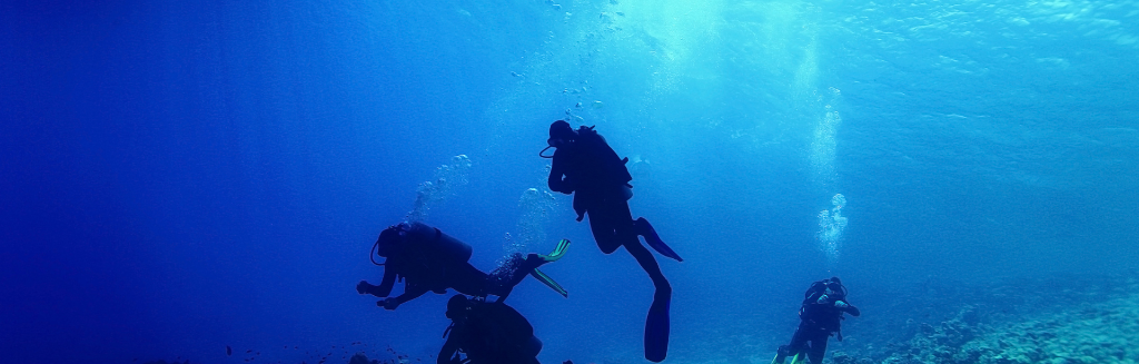 Plàncton Diving