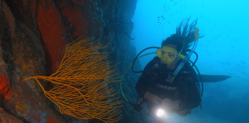 KARAPAT DIVE GRAN CANARIA