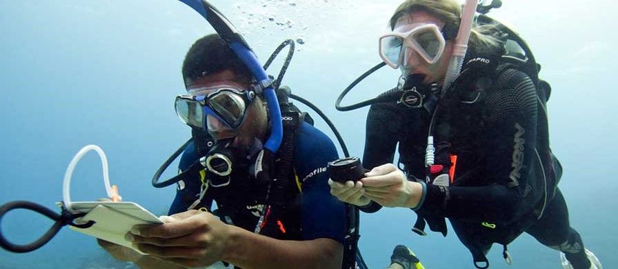 BINIBECA DIVING MENORCA