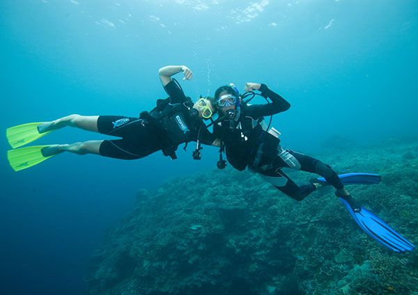 AMETLLA DIVING